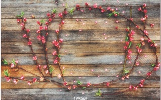 Combo Bảng Gỗ Thương Hiệu kèm Thảm 3D