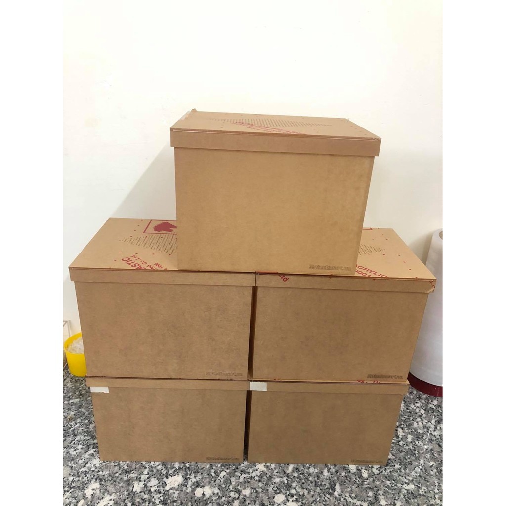 Hộp nuôi nhện, bọ cạp, rết,.... kt 20-15-15cm mẫu dán