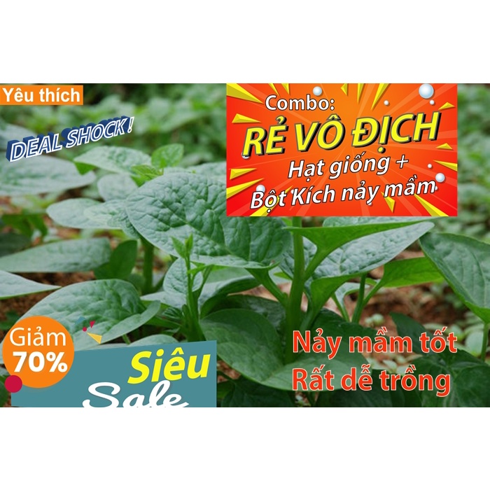 - Hạt Giống Mồng Tơi Cao Sản Túi 20 hạt - Tặng kích nảy mầm
