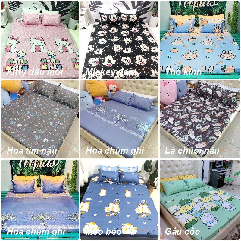 Set 4 món ga gối và vỏ gối ôm poly cotton m2 m6 m8 2m2 chat chọn mẫu