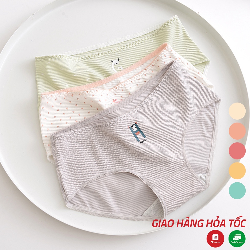 Quần lót nữ cotton cao cấp họa tiết đơn giản hình thú Xuu design QC43 | WebRaoVat - webraovat.net.vn