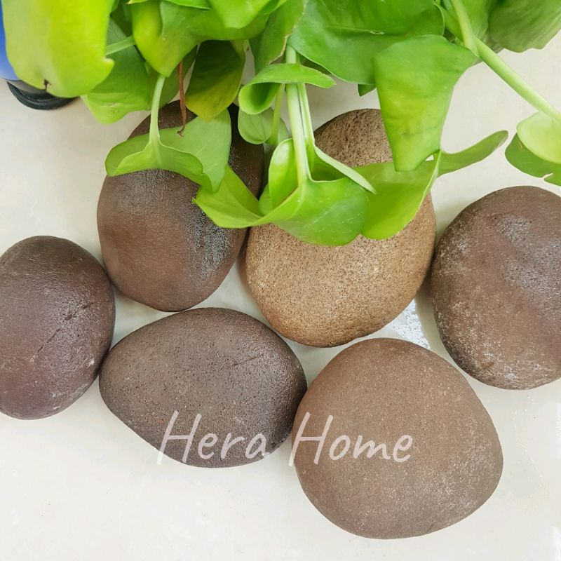 Áo khoác phao nữ lót lông