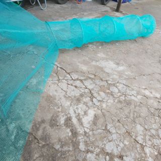 DỚN BẮT CÁ- DỚN BẮT TÔM- DỚN BẮT TÔM CÁ