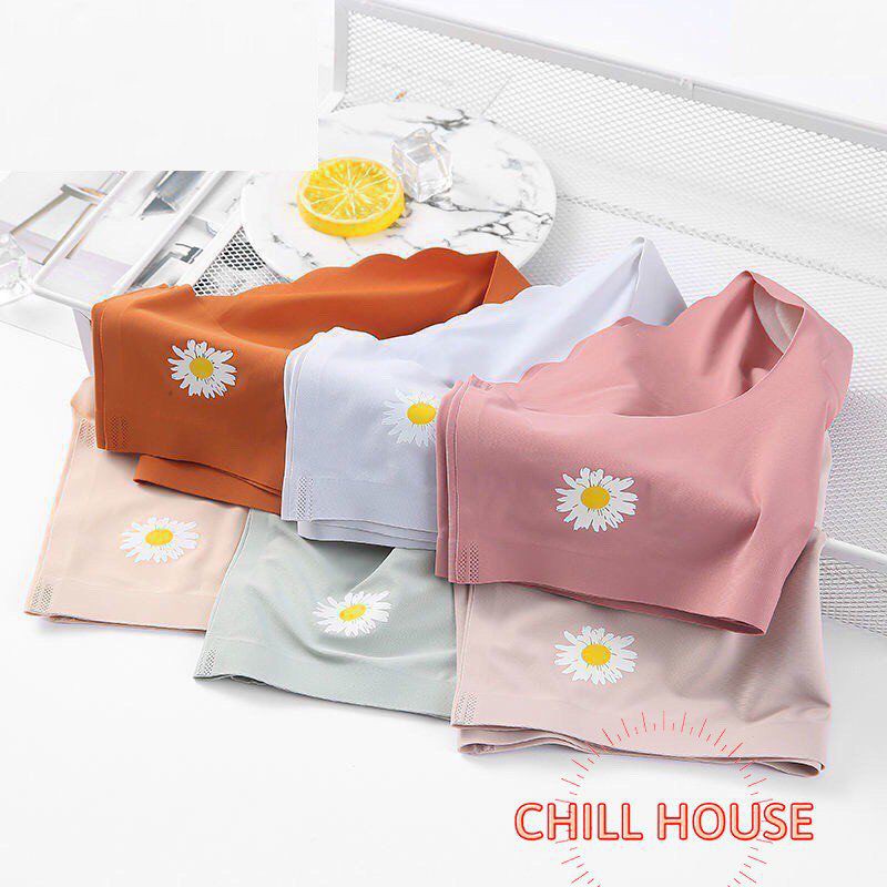 Quần Lót Đúc Su Kháng Khuẩn Hoa Cúc Mặc Siêu Mát 1038(có size) - CHILLHOUSE | BigBuy360 - bigbuy360.vn