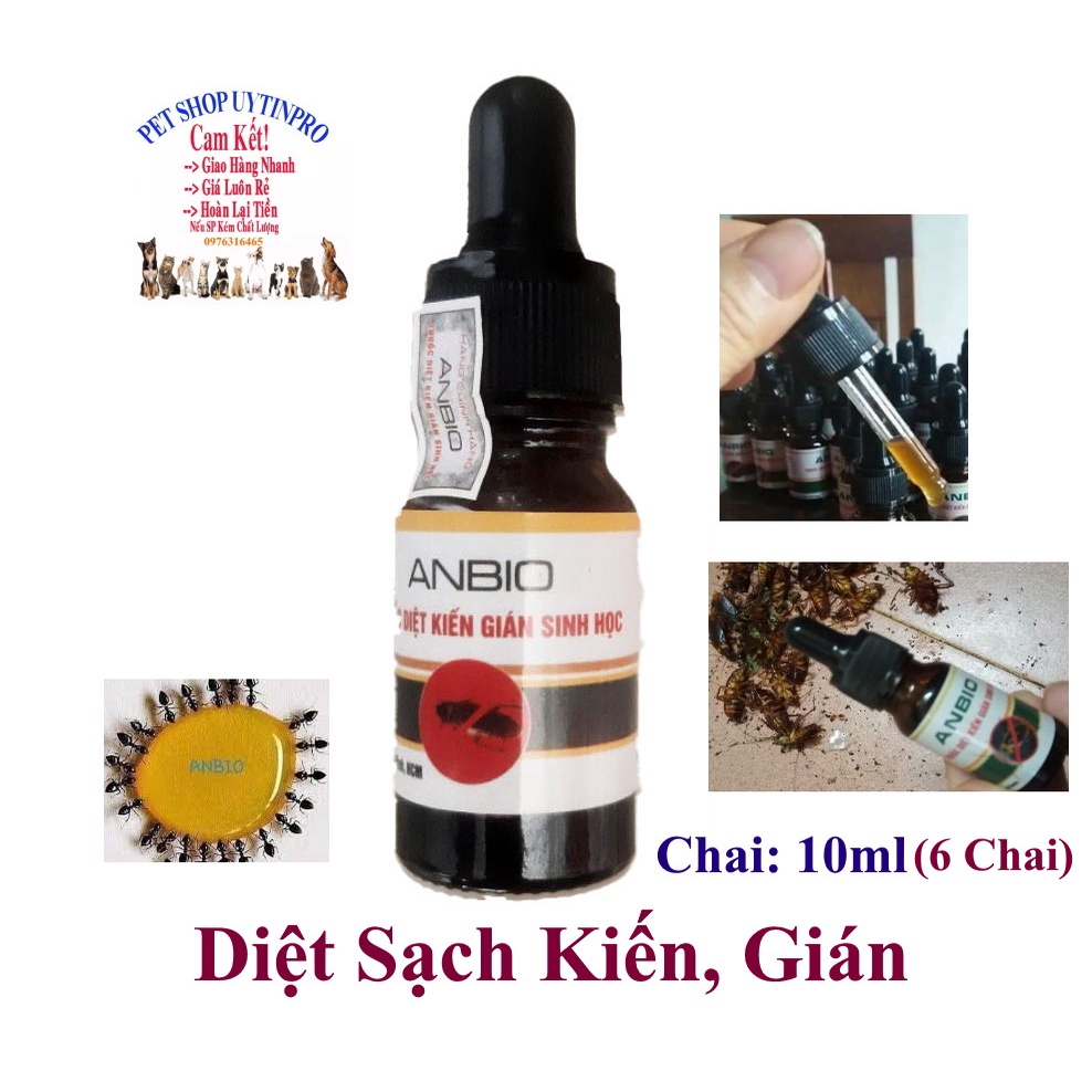 6 Chai Diệt kiến gián Sinh học ANBIO Chai 10ml Diệt sạch kiến gián An toàn Hiệu quả Xuất xứ Việt Nam