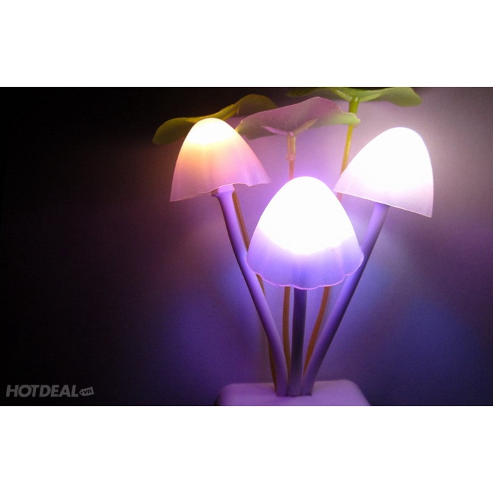 Đèn Ngủ Cảm Ứng Hình Nấm Tự Đổi Màu #262
