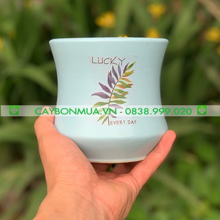 Chậu sứ mini Bát Tràng, trồng cây cảnh, Sen Đá, Xương Rồng kiểu lọ xinh xắn