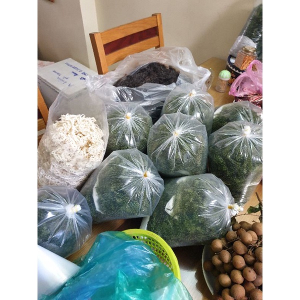 RONG NHO TƯƠI SÀI GÒN túi 500GR-ship hỏa tốc