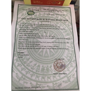 Dạ Dày Việt Nga