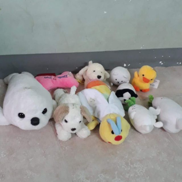 Set gấu bông