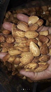 Hạt hạnh nhân