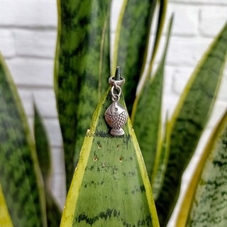 CHARM CÁ S990