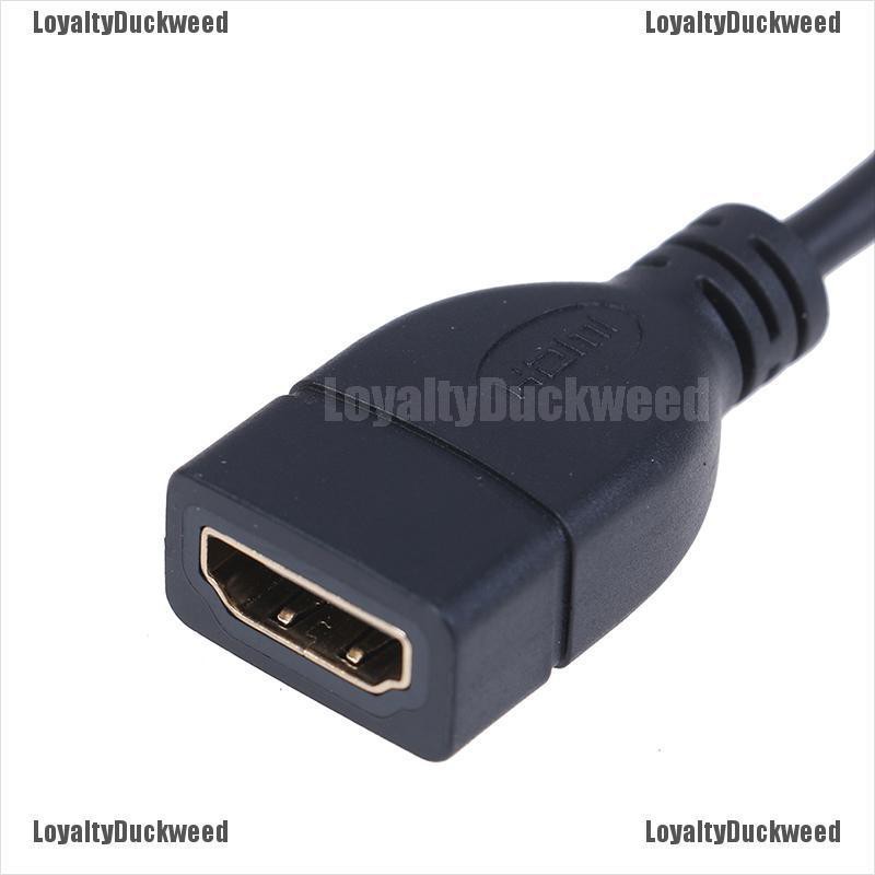 Cáp Chuyển Đổi Micro Hdmi Sang Hdmi Cho Hdtv Type D Hdmi