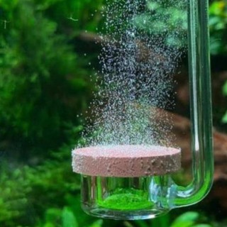Cốc Sủi Co2 Sieu Mịn Aquario Neo Co2 Diffuser Normal Special Sale Sale Nong Trại Vui Vẻ Shop