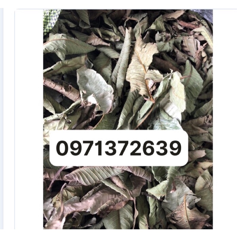 lá ổi khô 1 kg