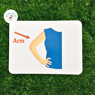 Flashcard Glenn Doman - Bộ Phận Cơ Thể