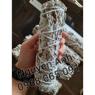 XÔ THƠM TRẮNG - WHITE SAGE - Bó size tiêu chuẩn