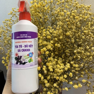 Bình xịt tinh dầu xông phòng kháng khuẩn hương tía tô bồ kết sả chanh