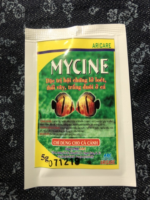 Cặp đôi trị nhiễm trùng, nấm, lở loét trên cá cảnh