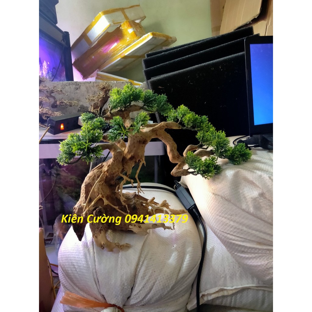 Cây gỗ lũa thủy sinh dùng cho bể cá cảnh, gỗ lúa cao cấp (Mẫu 5)