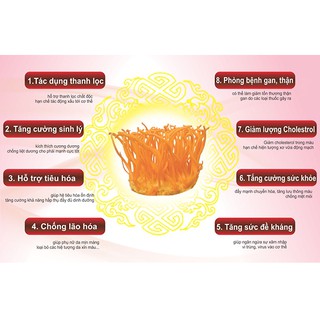 100g Hoa Đông Trùng hạ thảo (loại sấy khô)