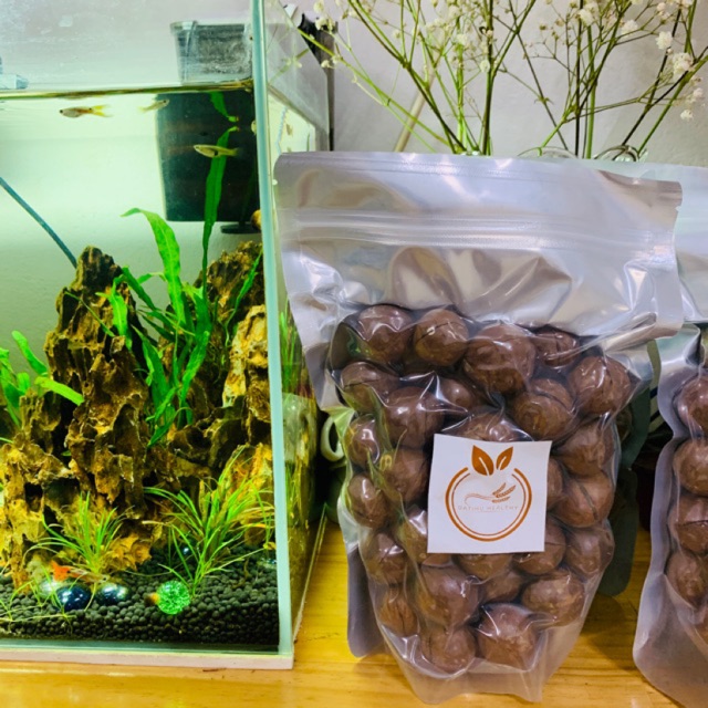 MACCA TÂY NGUYÊN 🌰🌰🌰