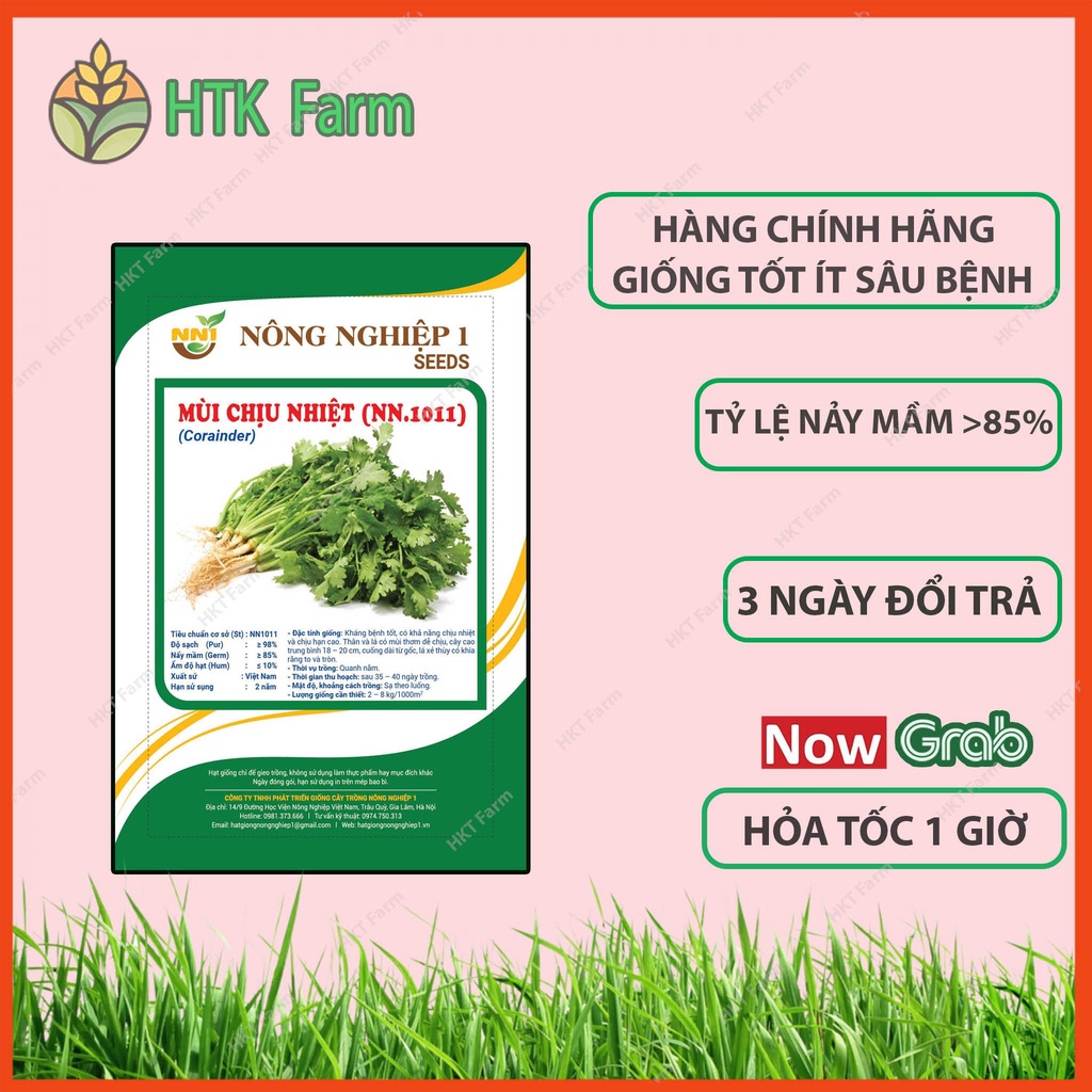 Hạt Giống Mùi Tía Chịu Nhiệt HKT Farm - Gói 50gram - Hạt Giống Mùi  Mùi Ta