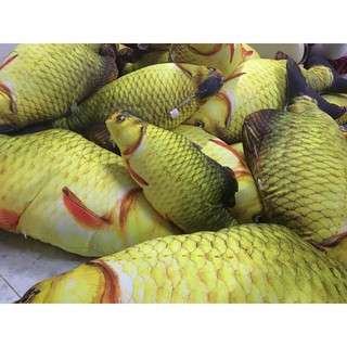 Gấu Bông Cá Chép Cho Bé