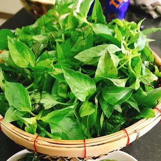 2g HẠT GIỐNG RAU THƠM SẢ (Ế TRẮNG)