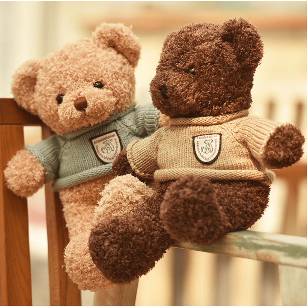 Gấu Bông Teddy Head Tales đẹp cỡ nhỏ 40cm, nhồi bông gòn cao cấp, lông xoắn mịn, an toàn cho bé.