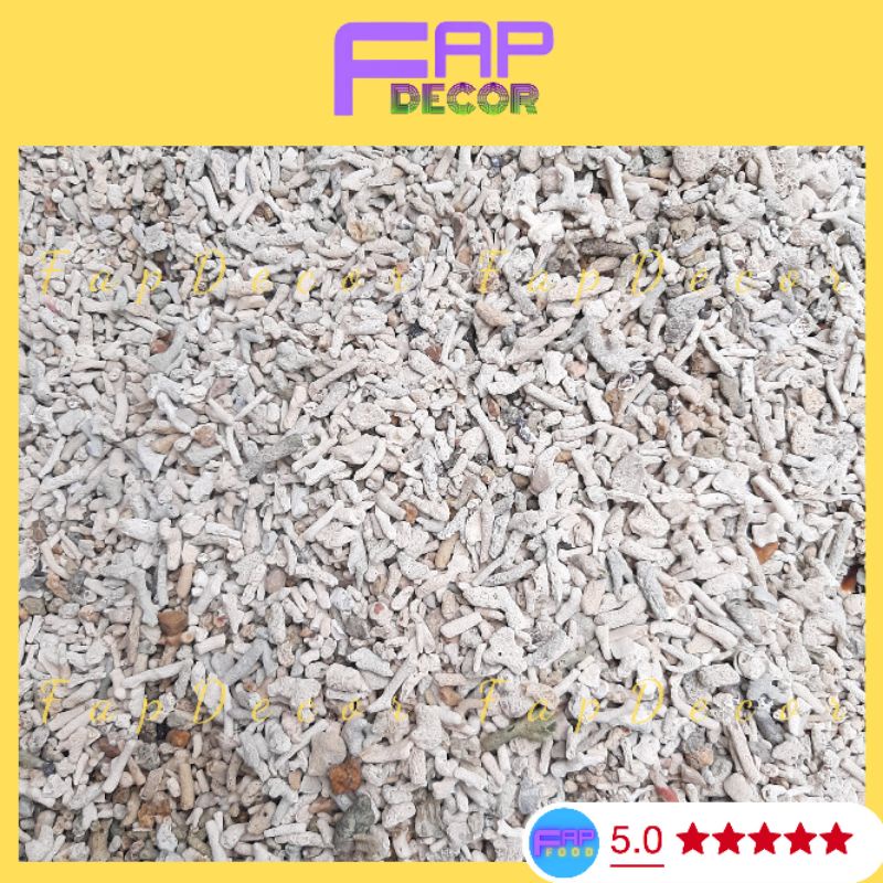 San Hô Sạn Vụn Lọc Nước Tăng Độ PH Cho Bể Cá, Lót Nền Thủy Sinh, Làm Vườn Chậu Cây - FapFood