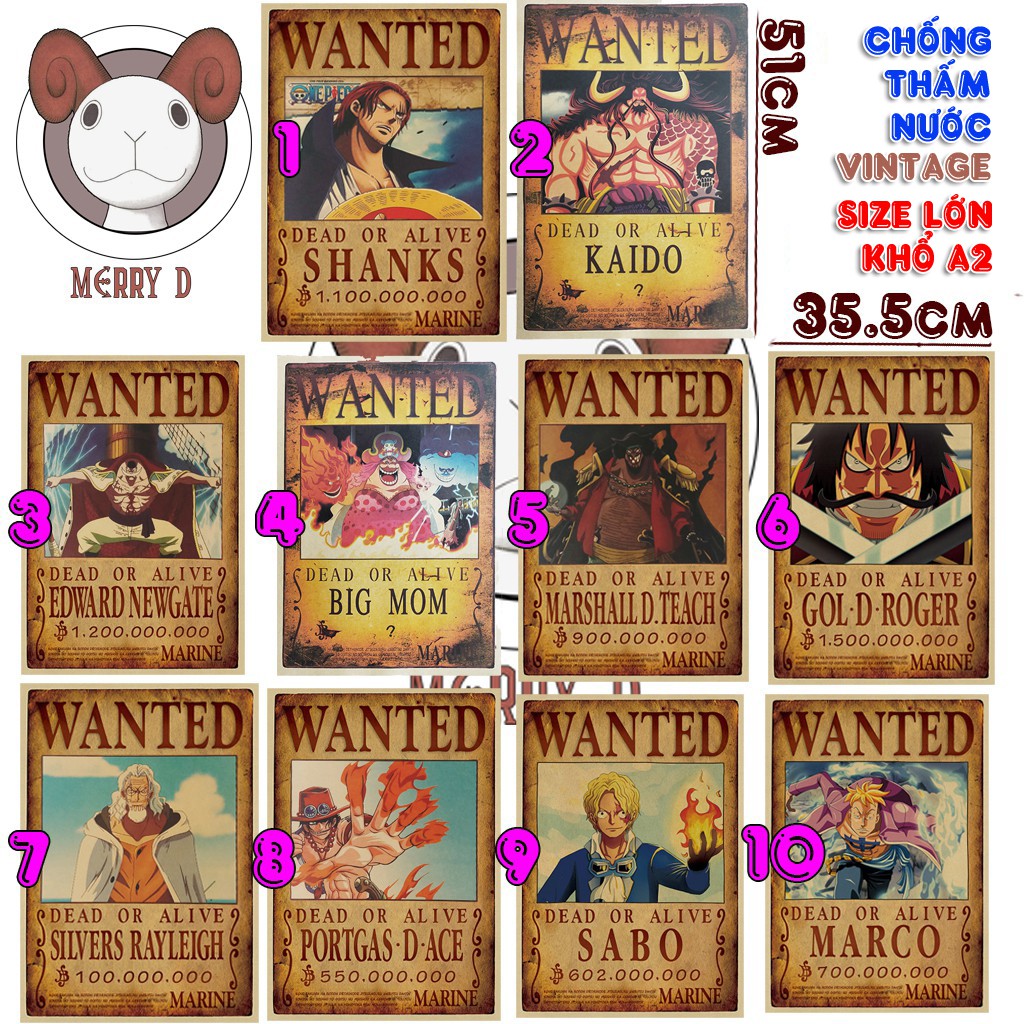 Bộ 10 Tấm Poster One Piece - Team Luffy, Thất Vũ Hải, Tứ Hoàng, Tổng Hợp