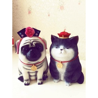 Heo bỏ tiết kiệm chó mèo