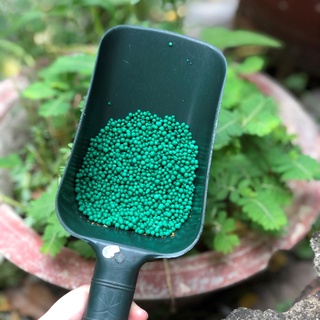 Phân tan Chậm Mỹ PoLyon hạt xanh - 16-6-12 (1kg)