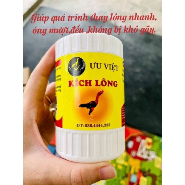 kich long thuốc ra lông nhanh ưu việt cho gà chọi gà đá