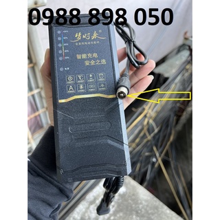 Sạc Xe Đạp Điện 4 bình HKbike Zinger Color loại cao cấp