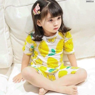 Sợi tre