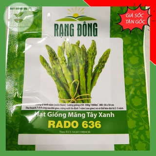 Hạt giống Măng tây xanh dễ trồng, ăn ngon , phát triển mạnh