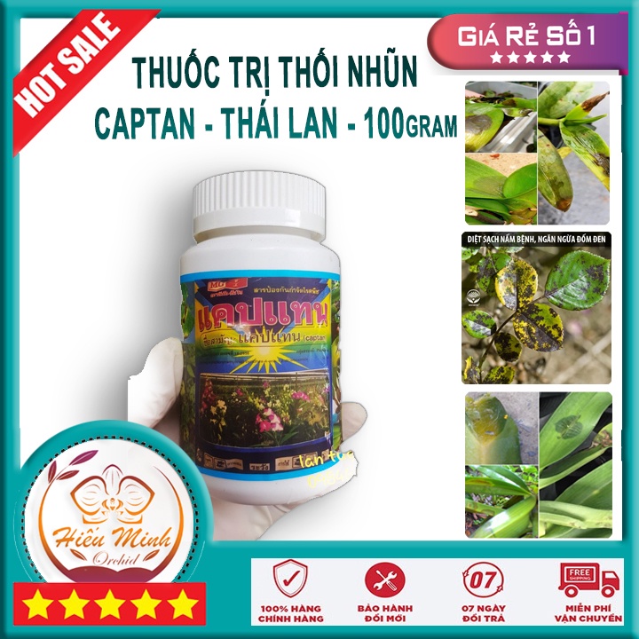 Captan Thái Lan 50Gr Thuốc Trị Thối Nhũn cho Hoa loại TỐT, Làm cây cảnh và hạt giống, Bền, Đẹp, Lá, Xanh, Chất Lượng