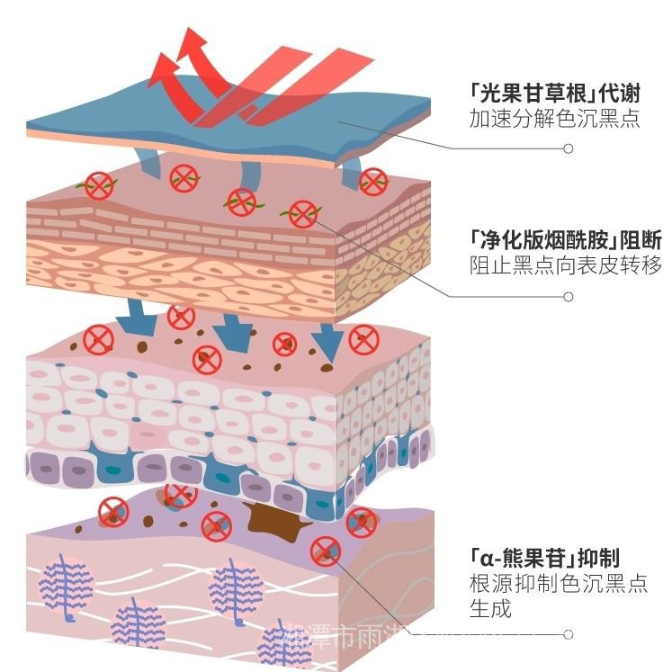 Tinh Chất Toner Hbn Giúp Dưỡng Ẩm Da Hiệu Quả