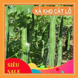 sale lớn chào đón khách hàng Hạt Giống Quả Lặc Lày (Lặc lè) 2g chất lượng cao