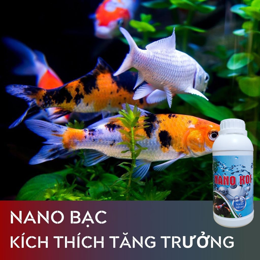 Nano Bạc 1000 PPM cho thủy sản, cá cảnh. Khử trùng ao nuôi, hồ, bể cá cảnh.