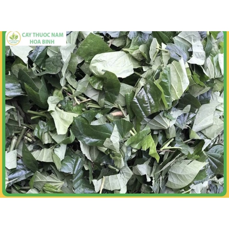 1Kg Lá lốt khô thơm mới, sạch