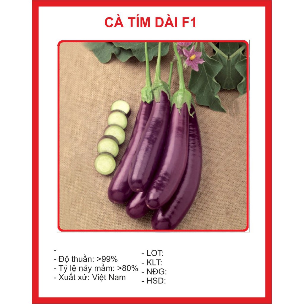 Hạt Giống Cà Tím Dài - 2gr