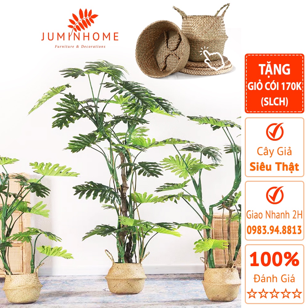 Cây trầu bà giả, trầu bà dây leo, trầu bà lá xẻ - Cây giả decor trang trí nhà cửa nội thất phòng khách phòng ngủ