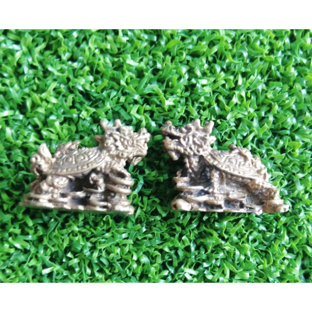 Long Quy ( Rùa đầu Rồng )