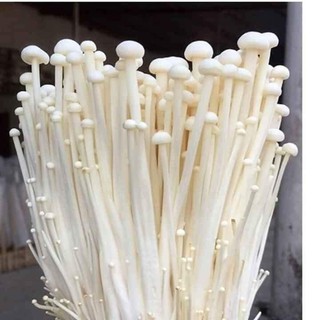 nấm kim châm ăn lẩu, chiên xào đều ngon