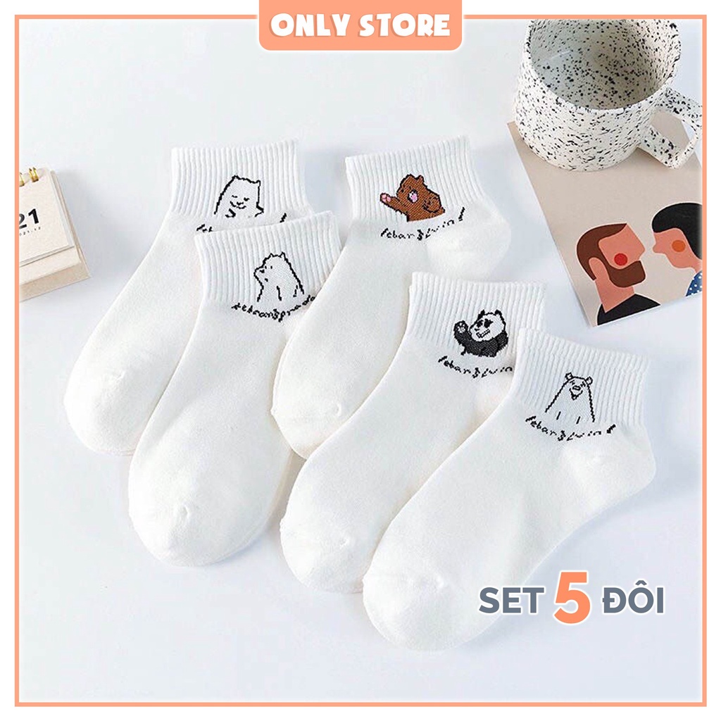 Tất cổ ngắn nữ hình gấu cute set vớ cổ thấp thời trang hàn quốc - Only Store