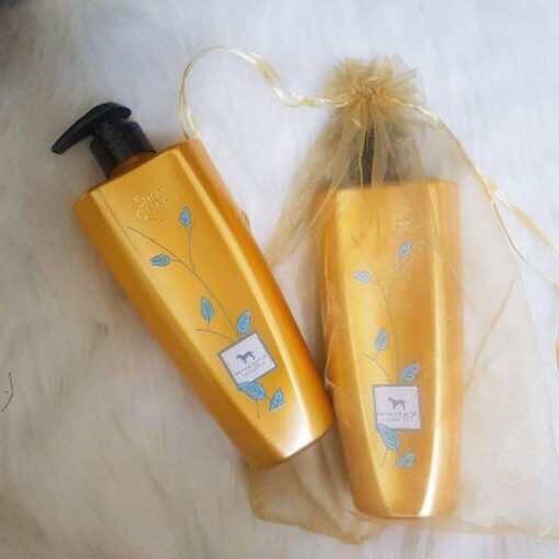 Sữa Tắm Tinh Dầu ShowQueen, Show Queen 500ml - BomPet