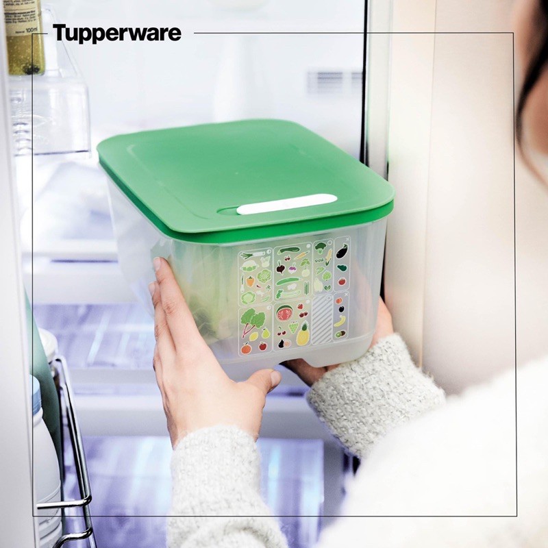 Bộ hộp trữ mát có nút hô hấp Tupperware Ventsmart 4 hộp- Hàng chính hãng Tupperware Việt Nam phân phối